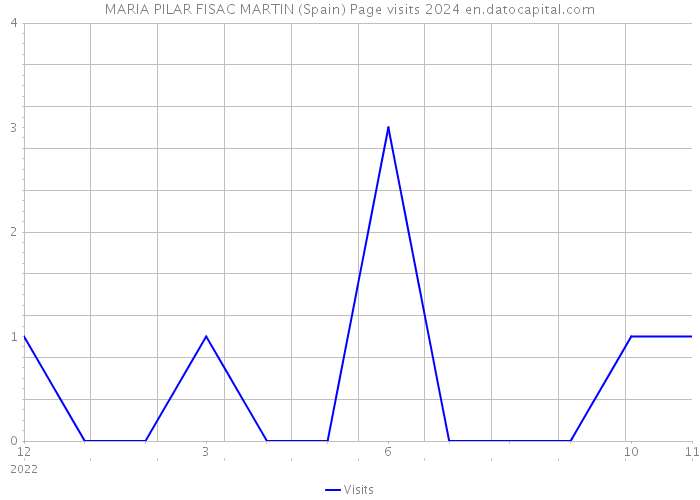 MARIA PILAR FISAC MARTIN (Spain) Page visits 2024 