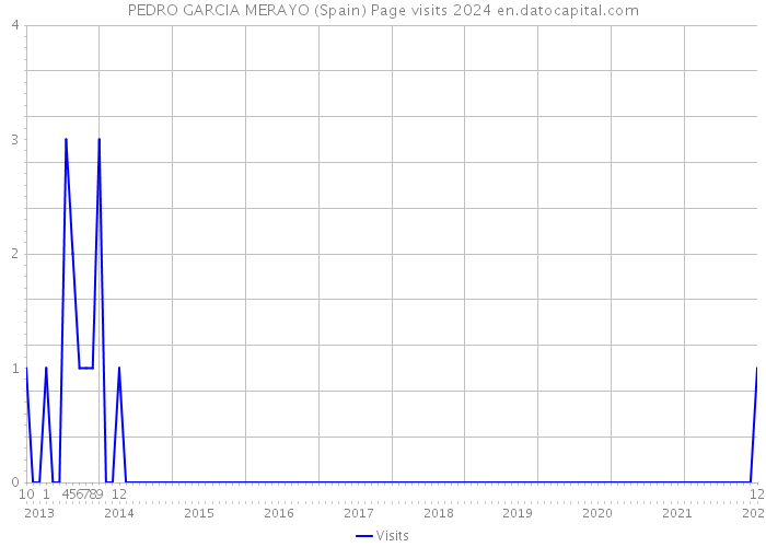 PEDRO GARCIA MERAYO (Spain) Page visits 2024 