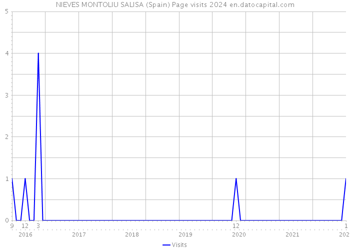 NIEVES MONTOLIU SALISA (Spain) Page visits 2024 