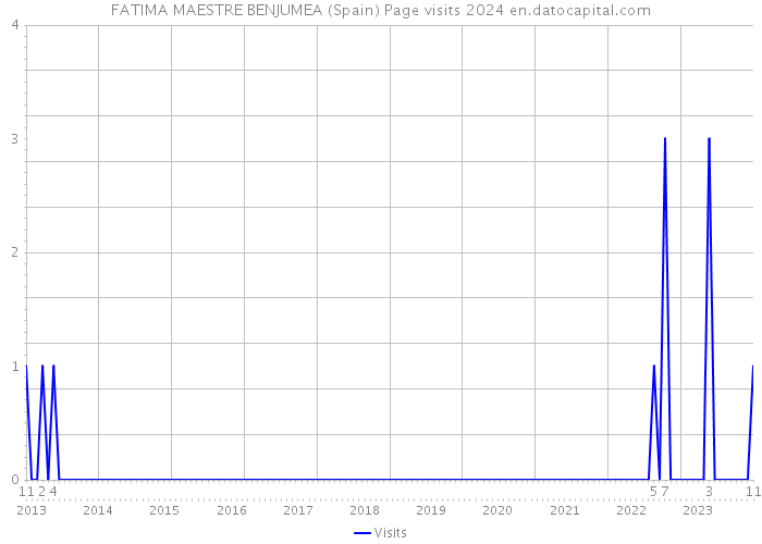FATIMA MAESTRE BENJUMEA (Spain) Page visits 2024 