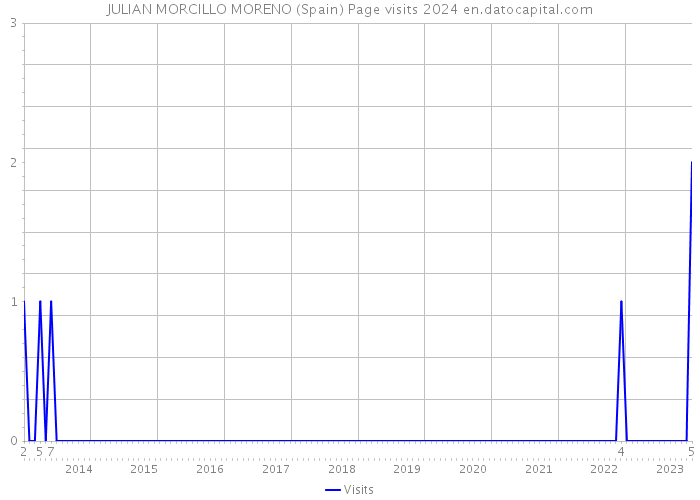 JULIAN MORCILLO MORENO (Spain) Page visits 2024 