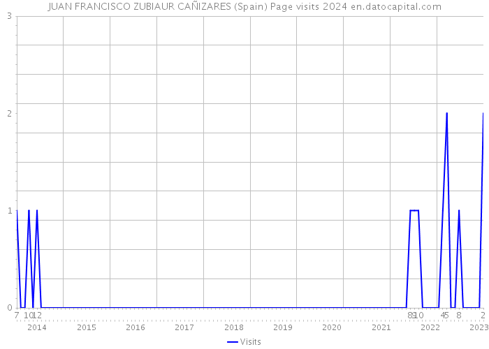 JUAN FRANCISCO ZUBIAUR CAÑIZARES (Spain) Page visits 2024 