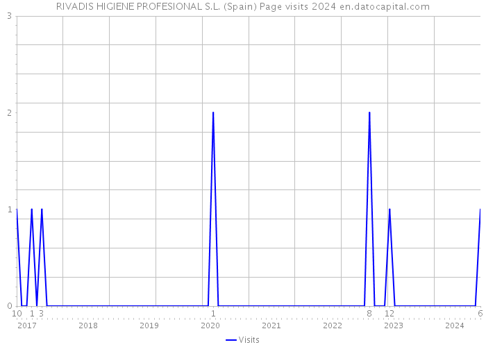 RIVADIS HIGIENE PROFESIONAL S.L. (Spain) Page visits 2024 