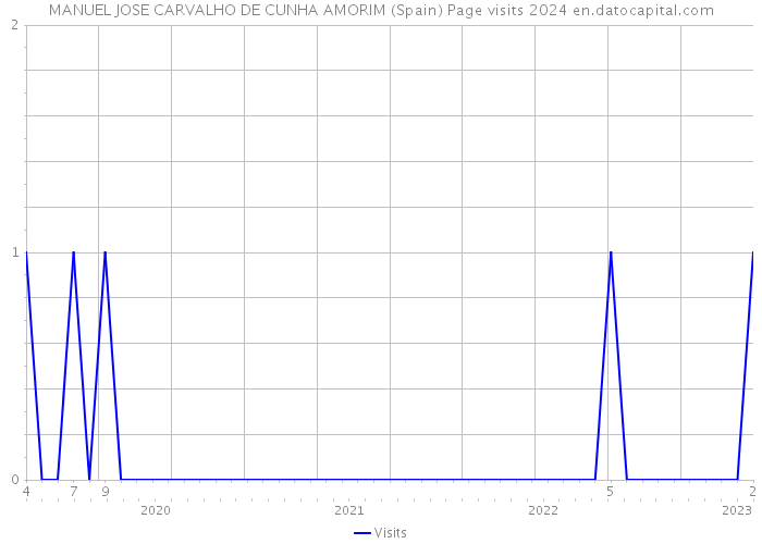 MANUEL JOSE CARVALHO DE CUNHA AMORIM (Spain) Page visits 2024 