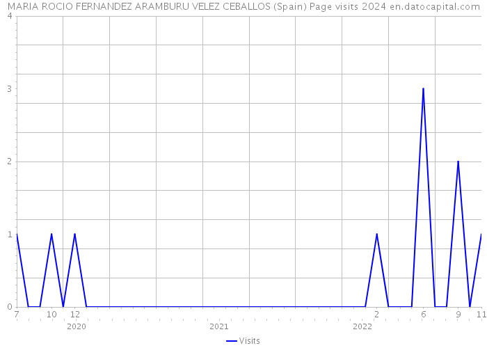 MARIA ROCIO FERNANDEZ ARAMBURU VELEZ CEBALLOS (Spain) Page visits 2024 