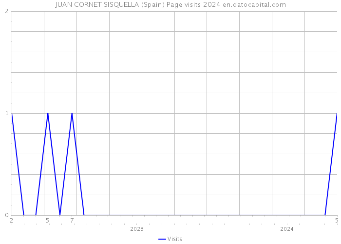 JUAN CORNET SISQUELLA (Spain) Page visits 2024 