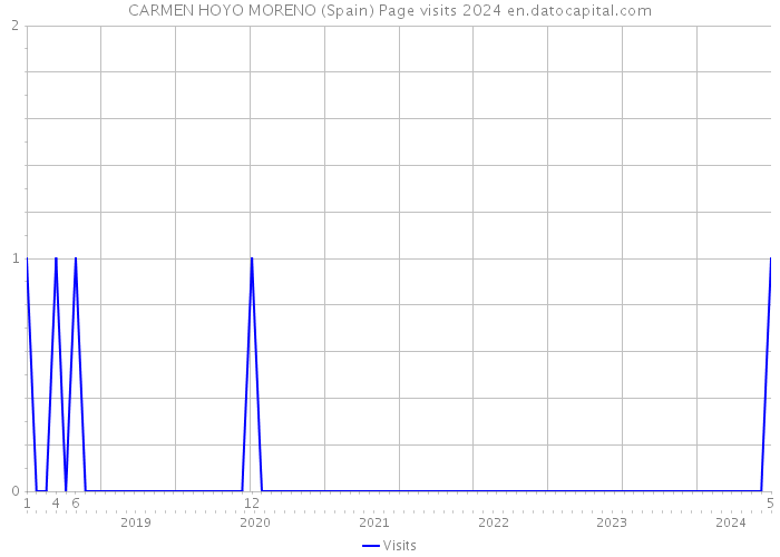 CARMEN HOYO MORENO (Spain) Page visits 2024 