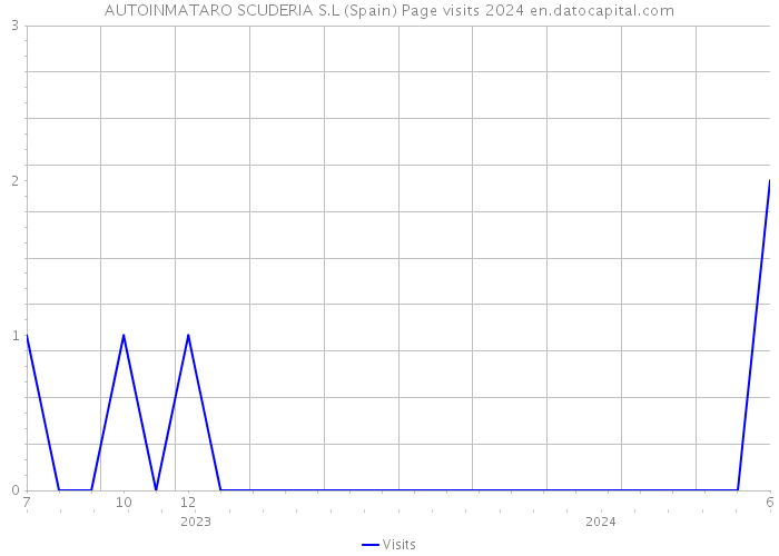 AUTOINMATARO SCUDERIA S.L (Spain) Page visits 2024 