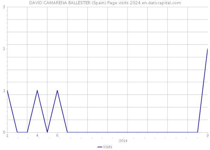 DAVID CAMARENA BALLESTER (Spain) Page visits 2024 