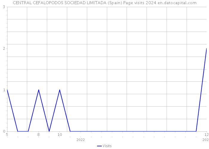 CENTRAL CEFALOPODOS SOCIEDAD LIMITADA (Spain) Page visits 2024 