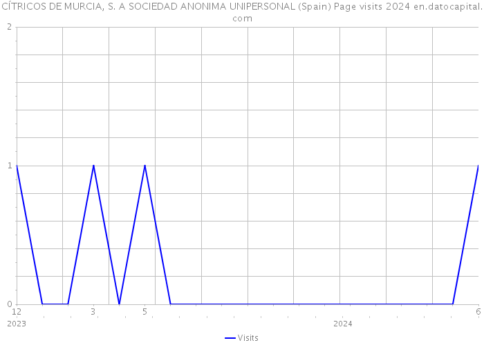 CÍTRICOS DE MURCIA, S. A SOCIEDAD ANONIMA UNIPERSONAL (Spain) Page visits 2024 