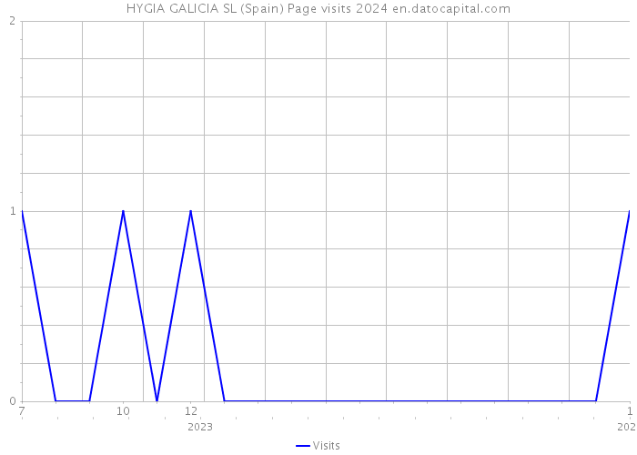 HYGIA GALICIA SL (Spain) Page visits 2024 