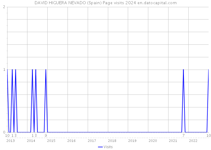 DAVID HIGUERA NEVADO (Spain) Page visits 2024 