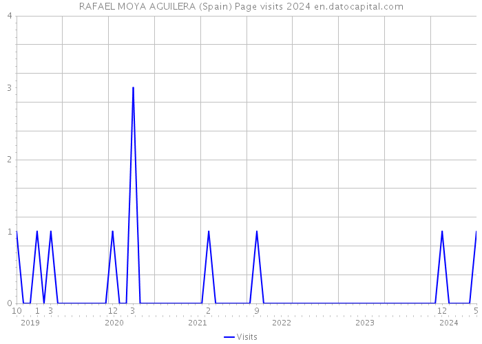 RAFAEL MOYA AGUILERA (Spain) Page visits 2024 