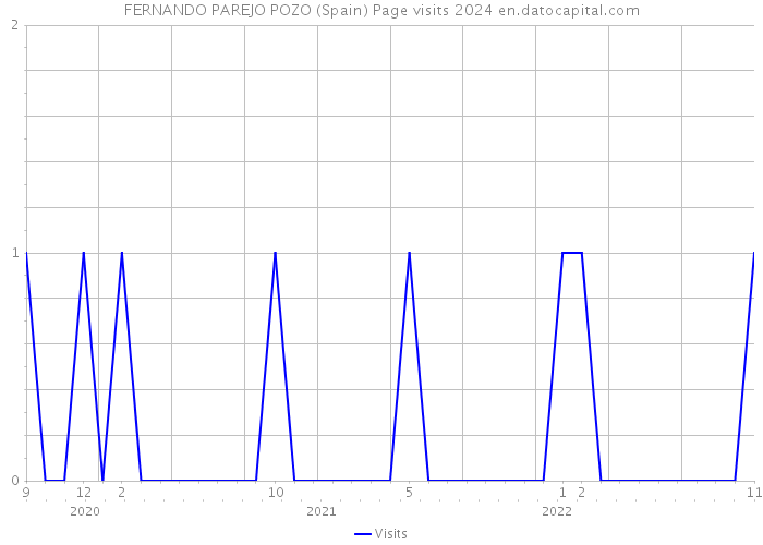 FERNANDO PAREJO POZO (Spain) Page visits 2024 