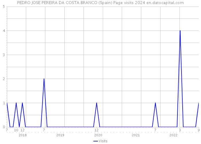 PEDRO JOSE PEREIRA DA COSTA BRANCO (Spain) Page visits 2024 
