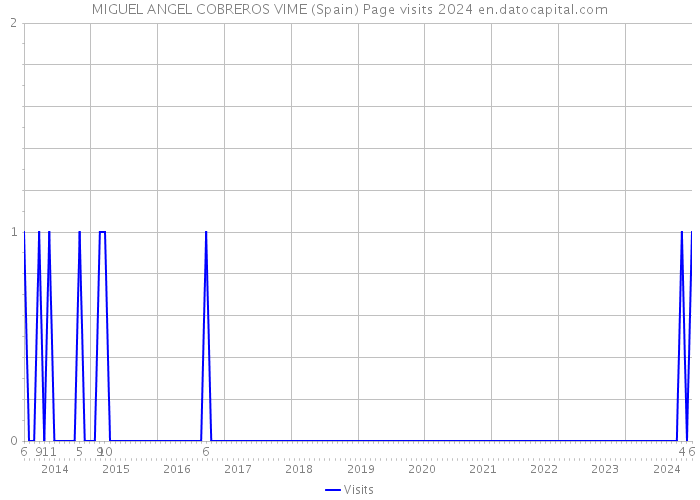 MIGUEL ANGEL COBREROS VIME (Spain) Page visits 2024 