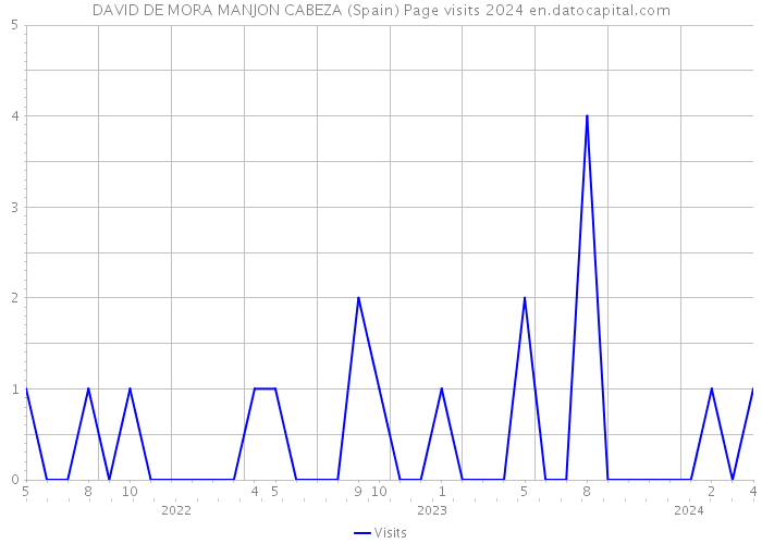DAVID DE MORA MANJON CABEZA (Spain) Page visits 2024 