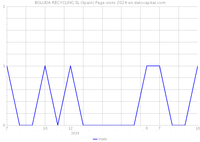 BOLUDA RECYCLING SL (Spain) Page visits 2024 