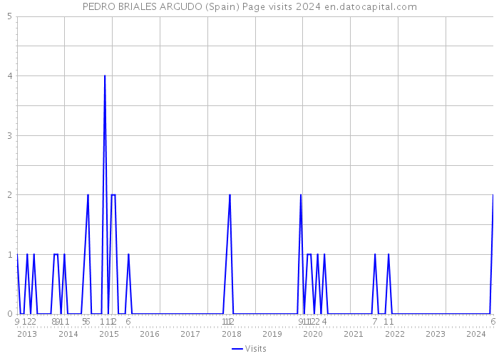 PEDRO BRIALES ARGUDO (Spain) Page visits 2024 