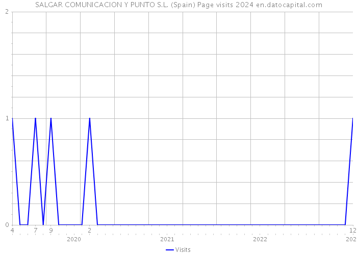 SALGAR COMUNICACION Y PUNTO S.L. (Spain) Page visits 2024 