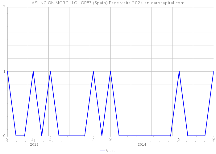 ASUNCION MORCILLO LOPEZ (Spain) Page visits 2024 