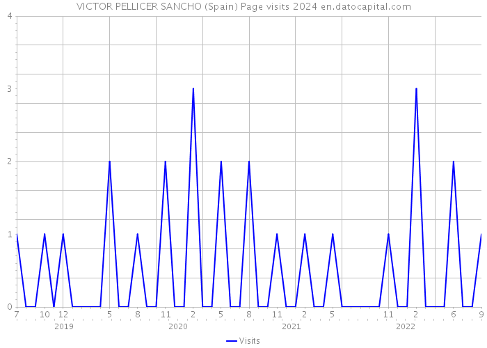 VICTOR PELLICER SANCHO (Spain) Page visits 2024 
