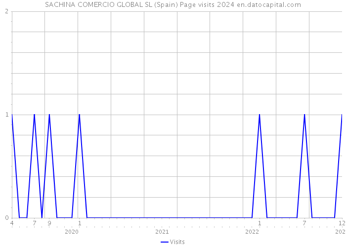SACHINA COMERCIO GLOBAL SL (Spain) Page visits 2024 