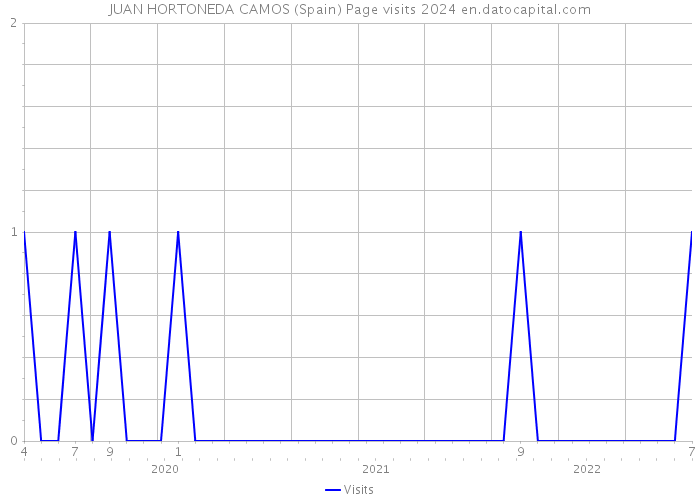 JUAN HORTONEDA CAMOS (Spain) Page visits 2024 