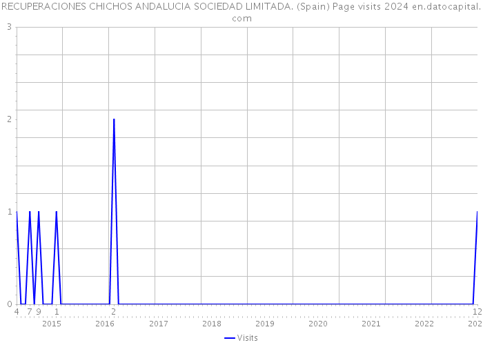 RECUPERACIONES CHICHOS ANDALUCIA SOCIEDAD LIMITADA. (Spain) Page visits 2024 