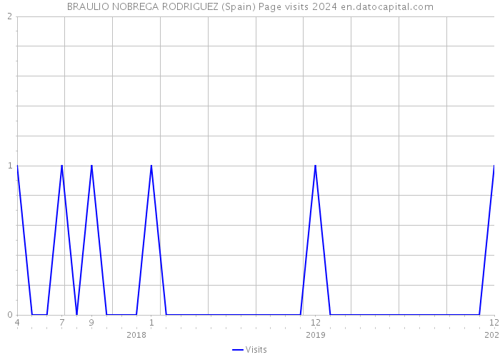 BRAULIO NOBREGA RODRIGUEZ (Spain) Page visits 2024 