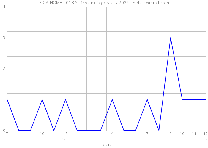 BIGA HOME 2018 SL (Spain) Page visits 2024 