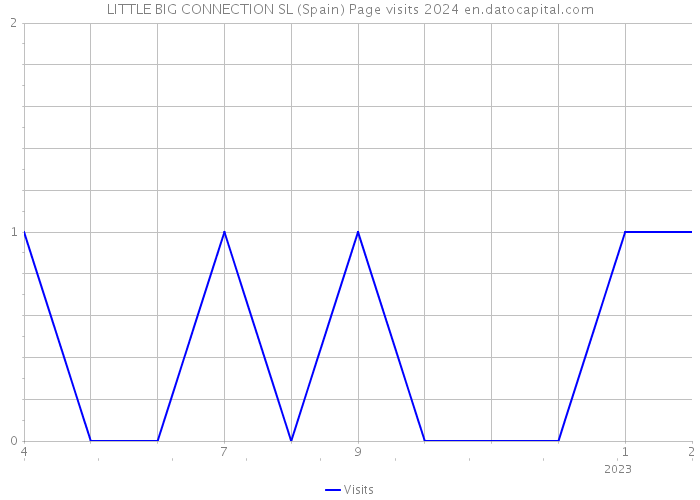 LITTLE BIG CONNECTION SL (Spain) Page visits 2024 