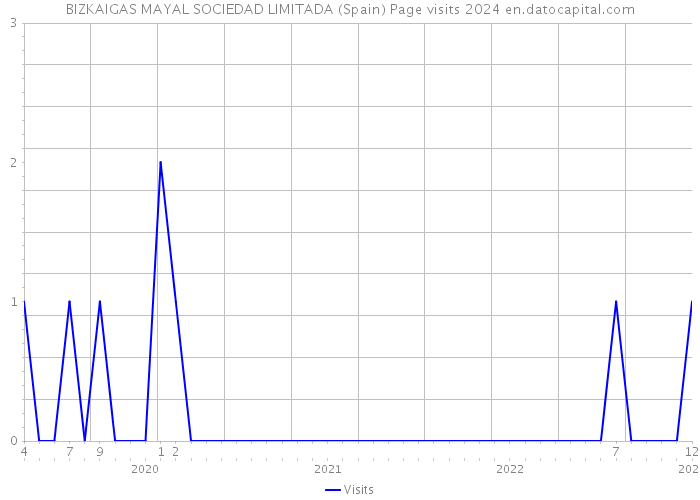 BIZKAIGAS MAYAL SOCIEDAD LIMITADA (Spain) Page visits 2024 