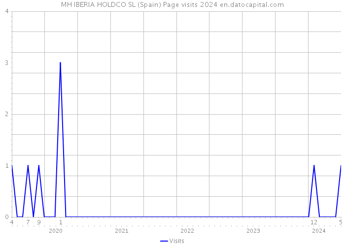 MH IBERIA HOLDCO SL (Spain) Page visits 2024 