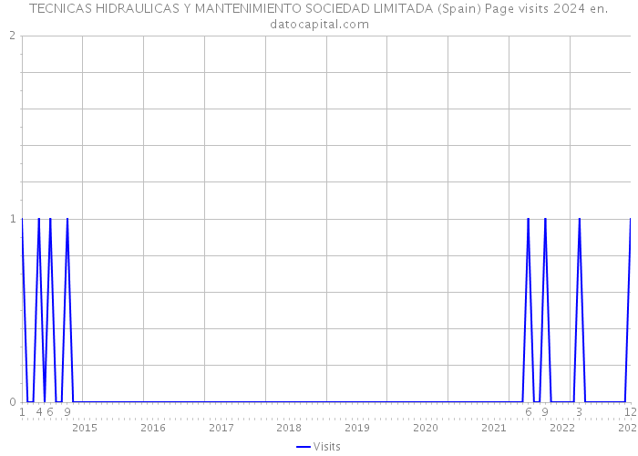 TECNICAS HIDRAULICAS Y MANTENIMIENTO SOCIEDAD LIMITADA (Spain) Page visits 2024 