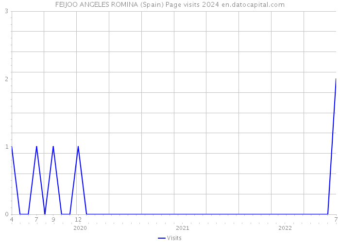 FEIJOO ANGELES ROMINA (Spain) Page visits 2024 