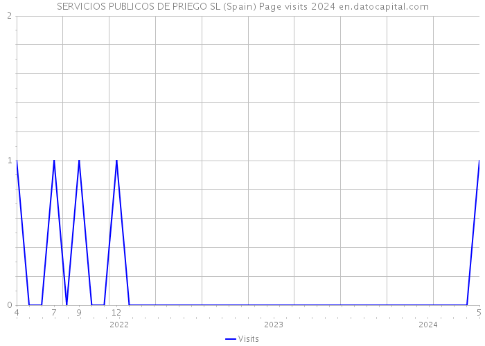 SERVICIOS PUBLICOS DE PRIEGO SL (Spain) Page visits 2024 
