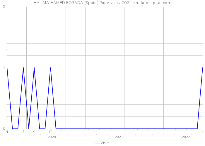 HALIMA HAMED BORADA (Spain) Page visits 2024 