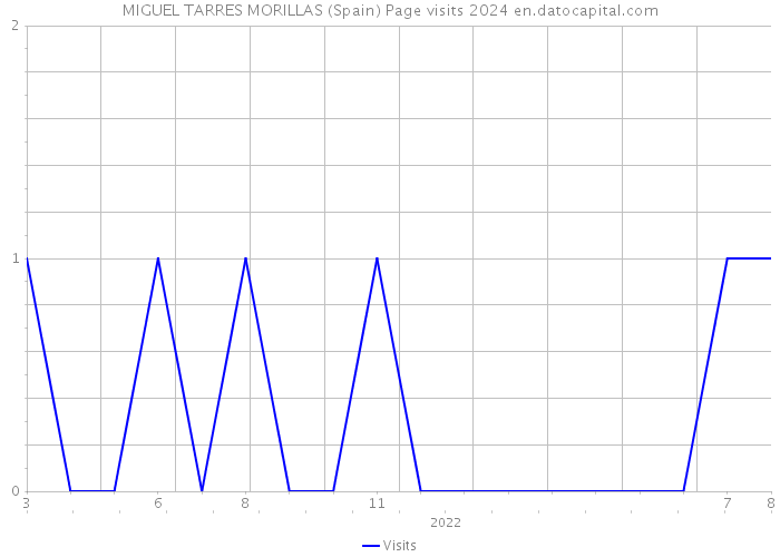 MIGUEL TARRES MORILLAS (Spain) Page visits 2024 