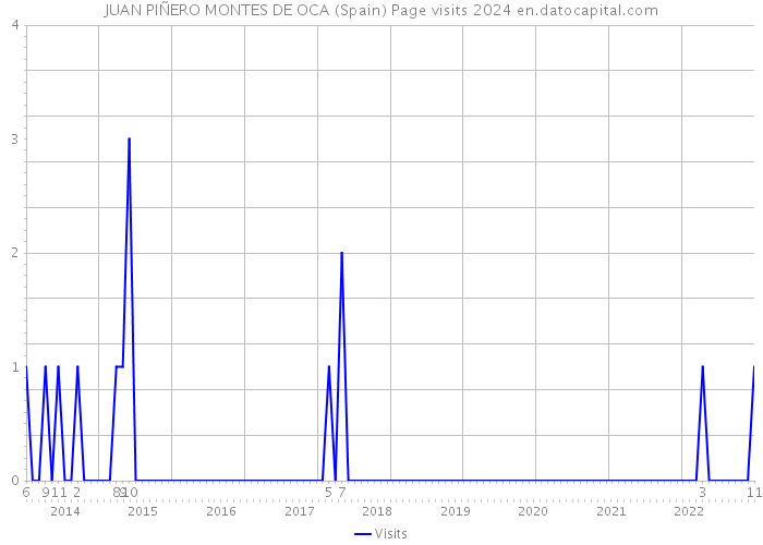 JUAN PIÑERO MONTES DE OCA (Spain) Page visits 2024 