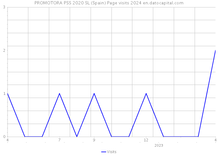 PROMOTORA PSS 2020 SL (Spain) Page visits 2024 