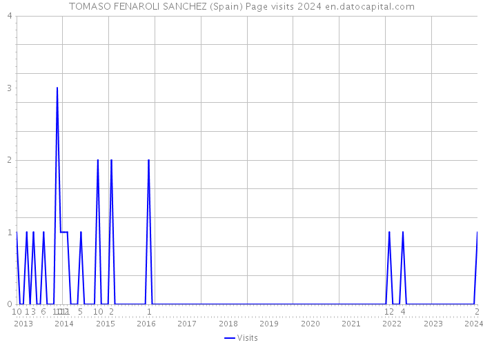 TOMASO FENAROLI SANCHEZ (Spain) Page visits 2024 