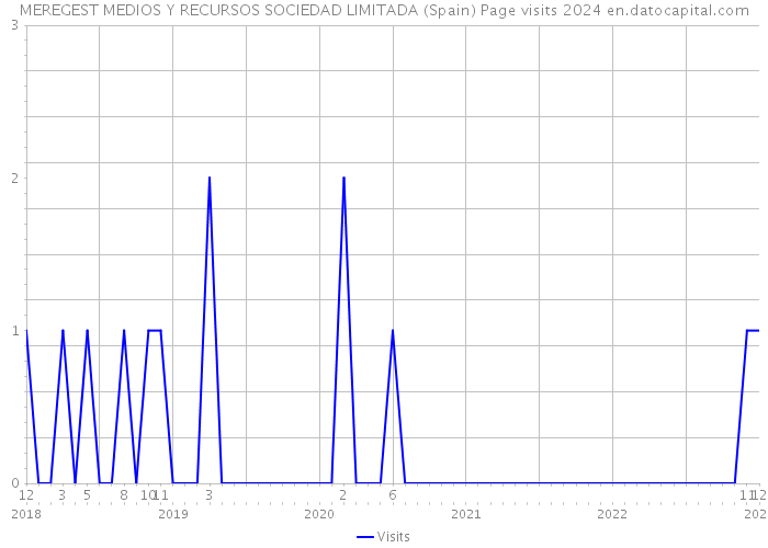 MEREGEST MEDIOS Y RECURSOS SOCIEDAD LIMITADA (Spain) Page visits 2024 