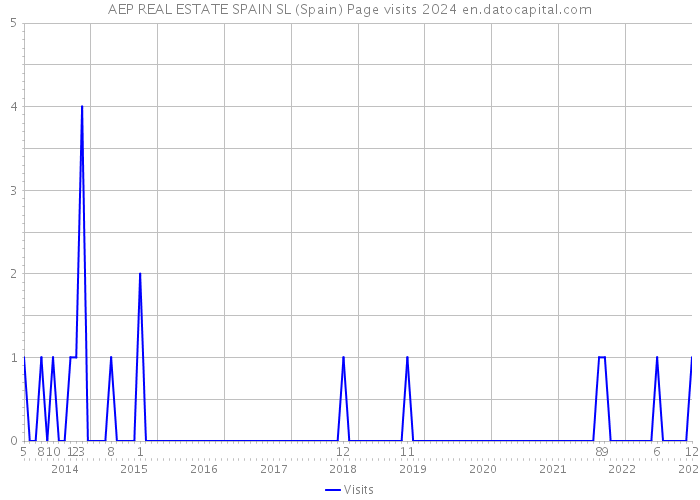 AEP REAL ESTATE SPAIN SL (Spain) Page visits 2024 
