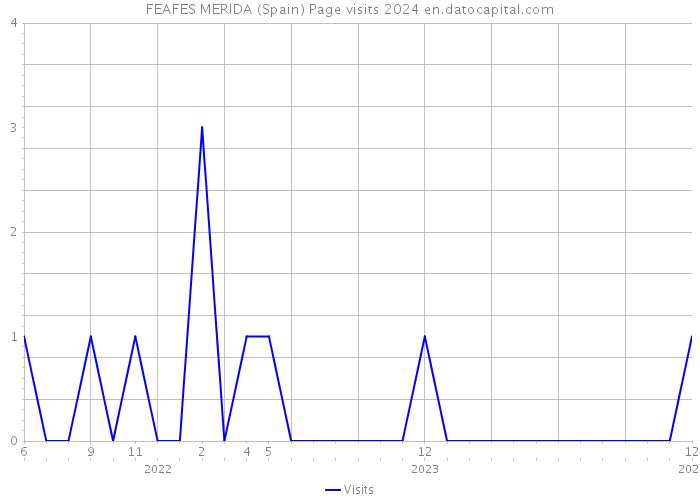 FEAFES MERIDA (Spain) Page visits 2024 