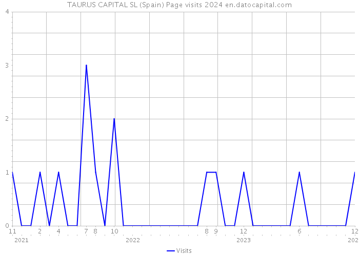 TAURUS CAPITAL SL (Spain) Page visits 2024 