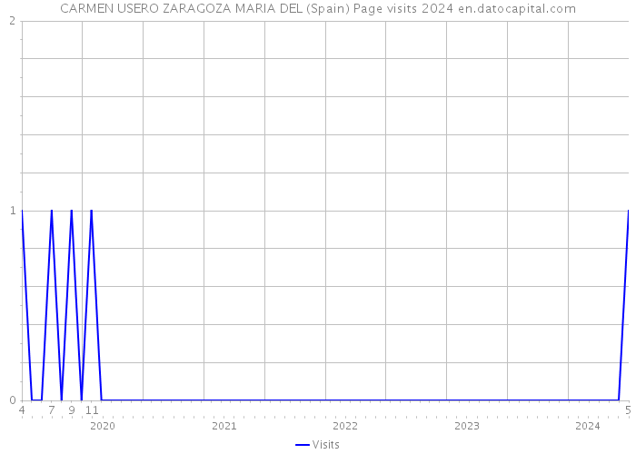 CARMEN USERO ZARAGOZA MARIA DEL (Spain) Page visits 2024 