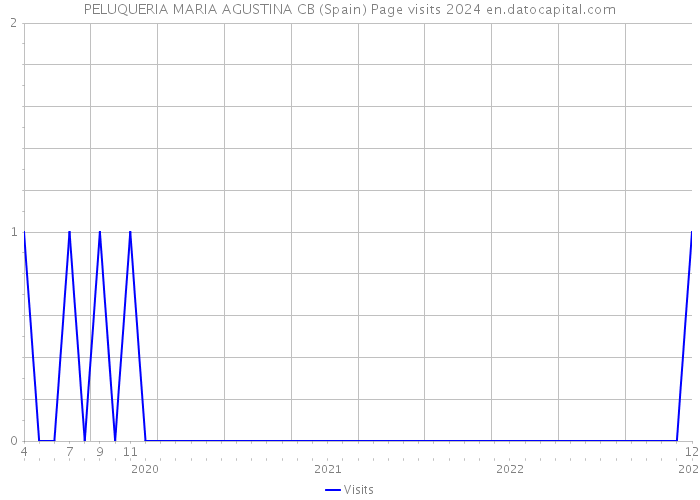 PELUQUERIA MARIA AGUSTINA CB (Spain) Page visits 2024 