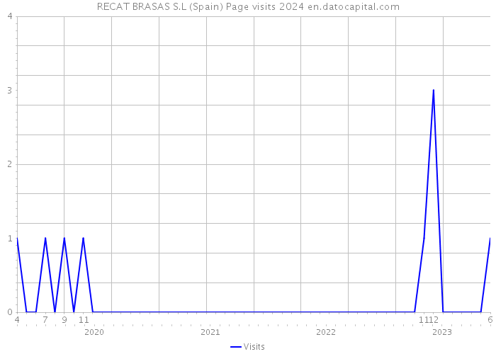 RECAT BRASAS S.L (Spain) Page visits 2024 